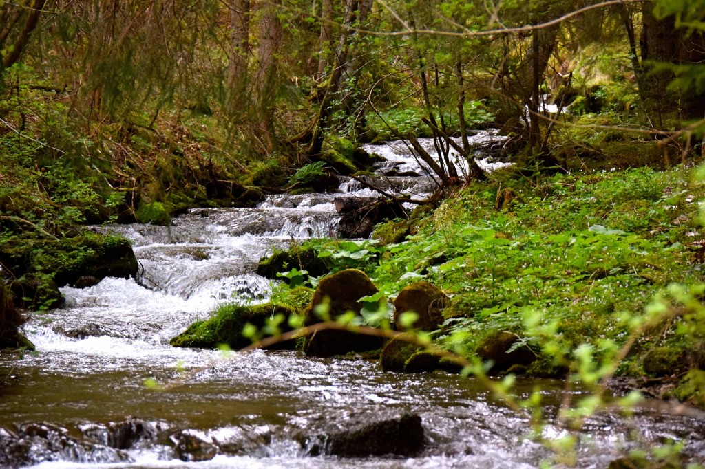 Wasser